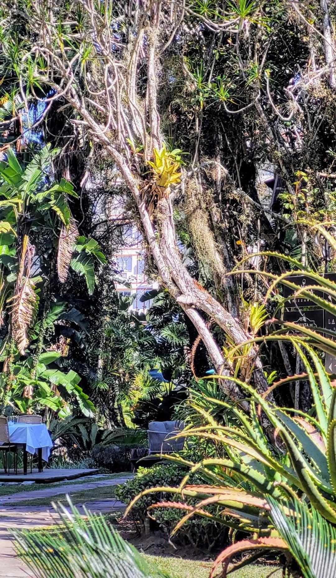 Granja Brasil Puc 10 2 Otel Itaipava Dış mekan fotoğraf